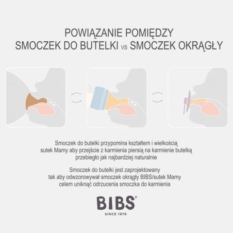 BIBS COLOUR PUMPKIN M Smoczek Uspokajający kauczuk Hevea