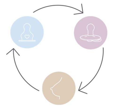 BIBS BUTELKA PLASTIC PP ze smoczkiem antykolkowym z kauczuku naturalnego poj. 270 ml SAGE