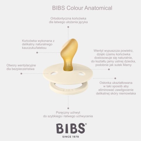 BIBS COLOUR ANATOMICAL WOODCHUCK M Smoczek ortodontyczny kauczuk Hevea