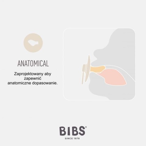 BIBS COLOUR ANATOMICAL WOODCHUCK M Smoczek ortodontyczny kauczuk Hevea