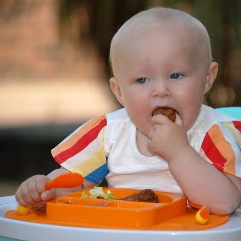 EasyTots silikonowy talerzyk trójdzielny z matą i lunchbox EasyMat Mini 2in1 ORANGE